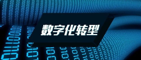 從貝殼找房“教老人用手機”看數字技術服務的溫度 是營銷噱頭，還是彌合鴻溝的實踐？